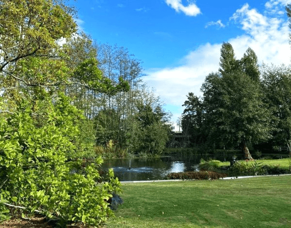 Climatiseurs gratuits : ce que les arbres de l'Yonne nous offrent (sans facture)