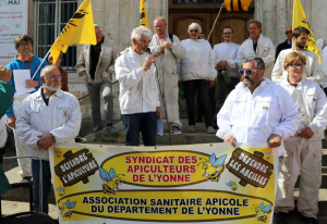 « Le retour envisageable des néonicotinoïdes, ces insecticides accusés de tuer les abeilles et porter gravement atteinte à la biodiversité et à la santé publique, a provoqué l’ire du syndicat départemental des apiculteurs et des adhérents de la Confédération Paysanne dans les rues auxerroises… ».