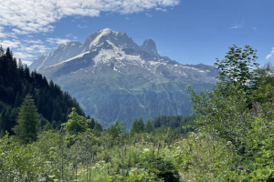 « « Le véritable voyage de découverte ne consiste pas à chercher de nouveaux paysages, mais à avoir de nouveaux yeux », écrivait Marcel PROUST. Une phrase à méditer alors que débute la période estivale, préférée des Français qui auront tout le loisir ou pas de se prélasser quelques jours en oubliant les informations et ce qui les entourent… ».