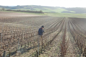 « Les zones rurales ne doivent plus être oubliées dans la dynamique économique même si la viticulture possède de sérieux atouts sur le territoire… ».