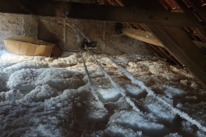 « Le programme de l’isolation à un euro préoccupe les responsables de la CAPEB de l’Yonne, et le monde artisanal. Au-delà de la perte du chiffre d’affaires qui impacte les sociétés artisanales traditionnelles, c’est aujourd’hui toute la filière qui est ainsi remise en cause par le côté subversif de ce dossier où abondent sans retenue les actes de malveillance et de fraudes…Quant aux visuels publiés : ils parlent d’eux-mêmes ! ».