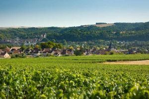  « Avec ces trois nouvelles offres labellisées, le vignoble de l’Auxerrois atteint la soixantaine de partenaires référencés par ATOUT France… ».