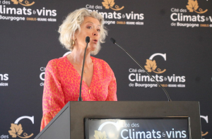 « On connaît tous « HPI », place désormais au « HPT », le Haut Potentiel Touristique de Chablis et de l’Yonne viticole ! Celui-ci va s’afficher dans les couloirs du métro parisien début juillet lors d’une campagne de marketing qu’a annoncée l’édile de Chablis Marie-Josée VAILLANT, lors de l’inauguration de la Cité des Climats et Vins de Bourgogne… ».