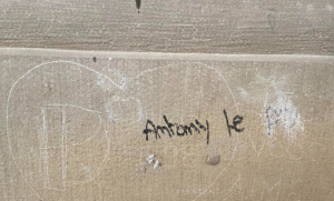 « Le patrimoine historique et religieux est en danger en France, surtout avec le retour de la période estivale où les dégradations et les actes de vandalisme se multiplient dans les villes qui ne se sont pas encore dotées de système de vidéosurveillance et de présence humaine avec des bénévoles surveillant ces édifices… ».