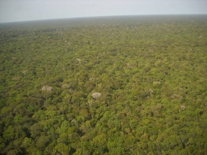  « La forêt amazonienne est une ressource naturelle. Or, comme toutes les ressources naturelles, nous les achetons. Personne n’y trouve rien à redire ! Pour quelles raisons, le Brésil serait-il garant pour l’Humanité de l’équilibre écologique de la planète à titre gratuit ?...Il faut y réfléchir ! ».